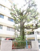 初台マンション