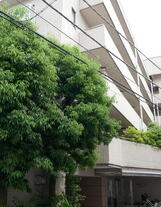 高雅ホームズ学芸大